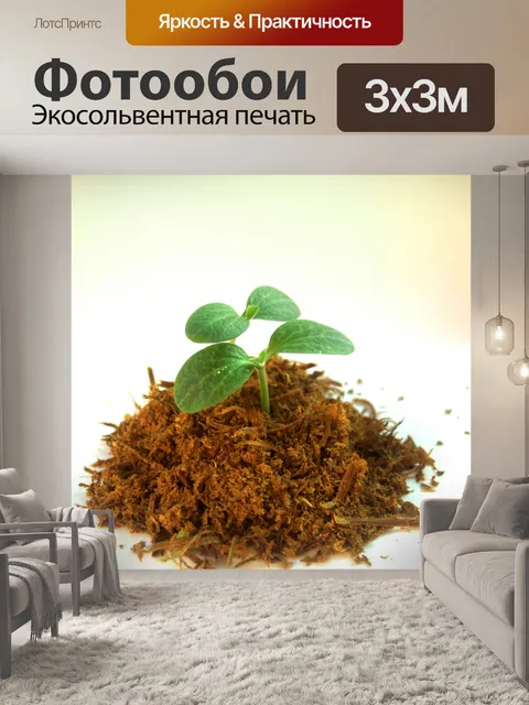 Фотообои Молодое дерево