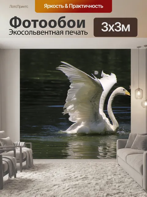 Фотообои Лебедь