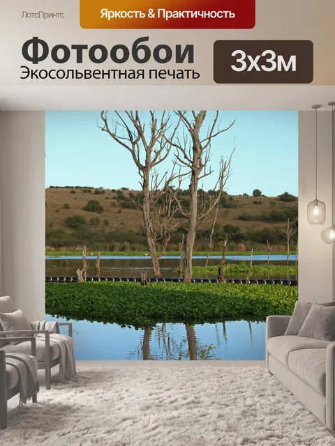 Фотообои кастрюля с водой с мертвыми деревьями