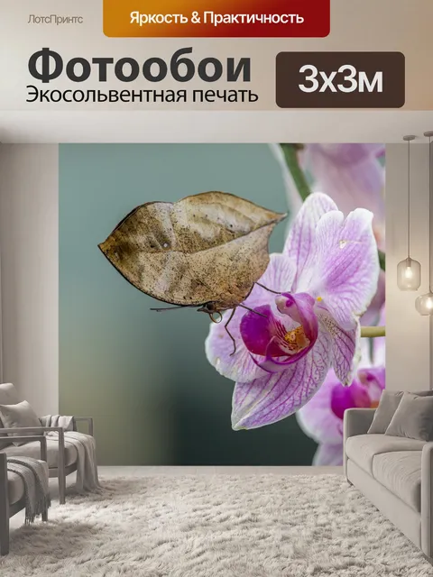 Фотообои Орхидея