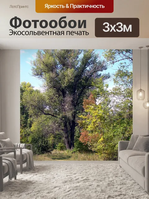 Фотообои Дорожка