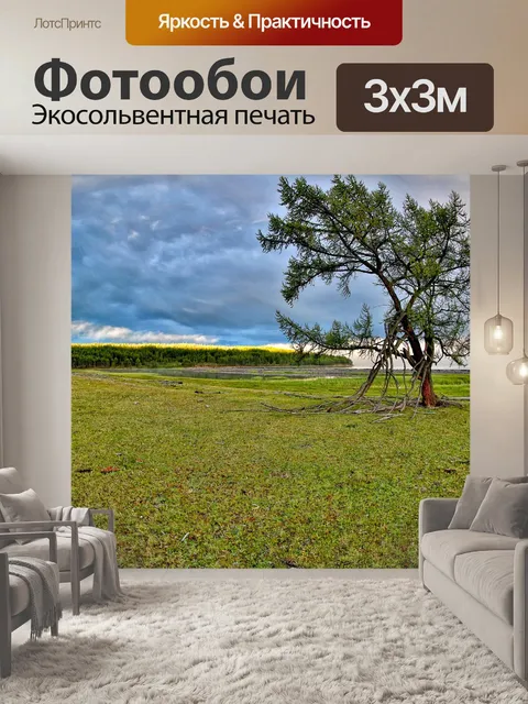 Фотообои Одно из лиственницы