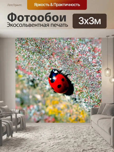 Фотообои божья коровка
