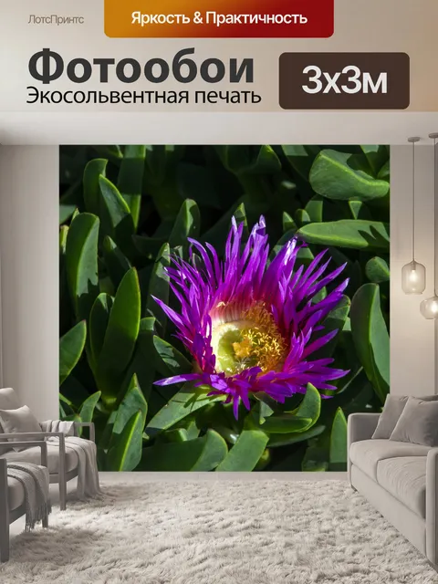 Фотообои Ледяной завод Цветок