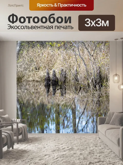 Фотообои Болотные деревянные ручки