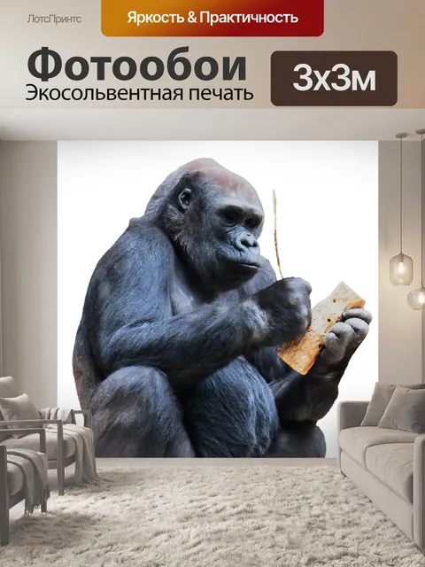 Фотообои Обезьяна