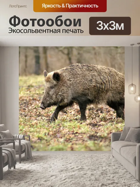 Фотообои Дикий лесной кабан