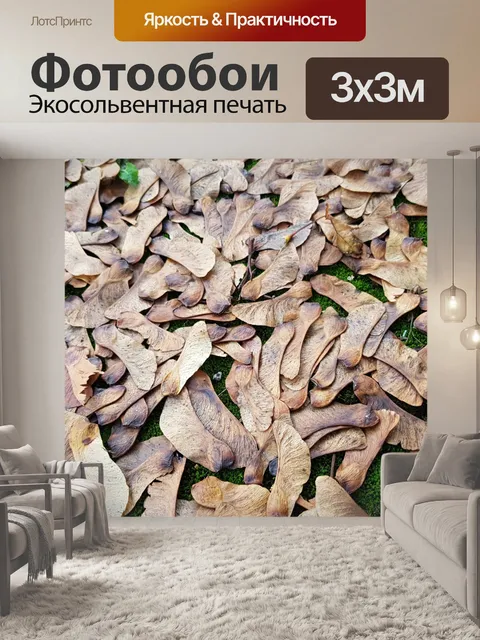 Фотообои Семена платана