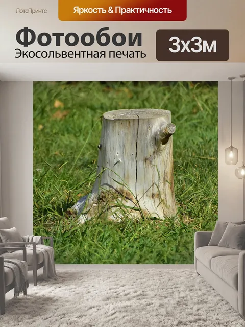 Фотообои Ствол