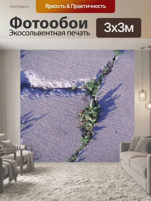 Фотообои Трава в бетонной трещине