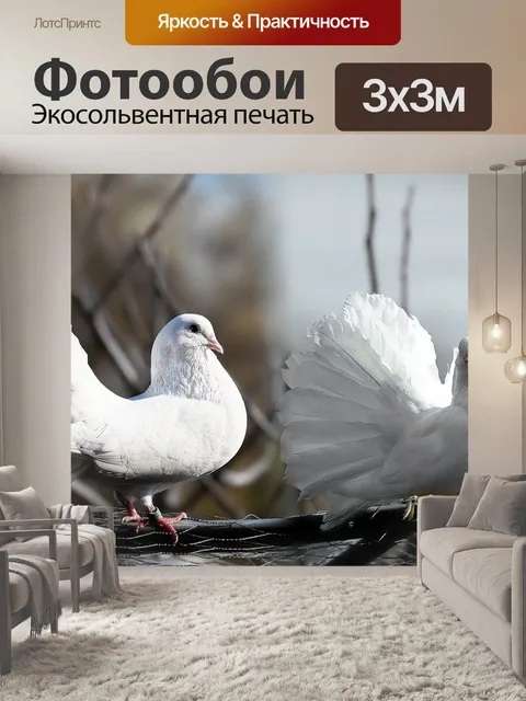 Фотообои Голуби