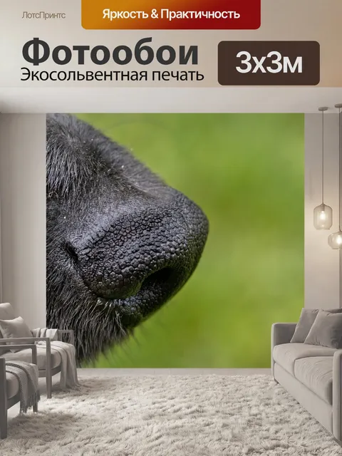 Фотообои Собака