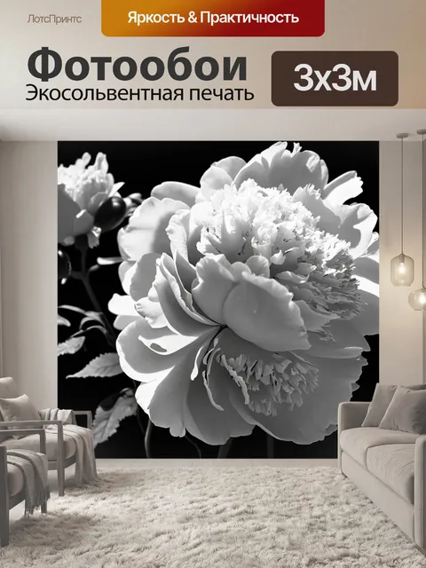 Фотообои пионы в черно-белом стиле