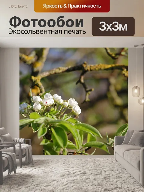 Фотообои Груша