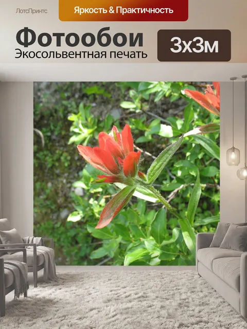 Фотообои Индийская кисть