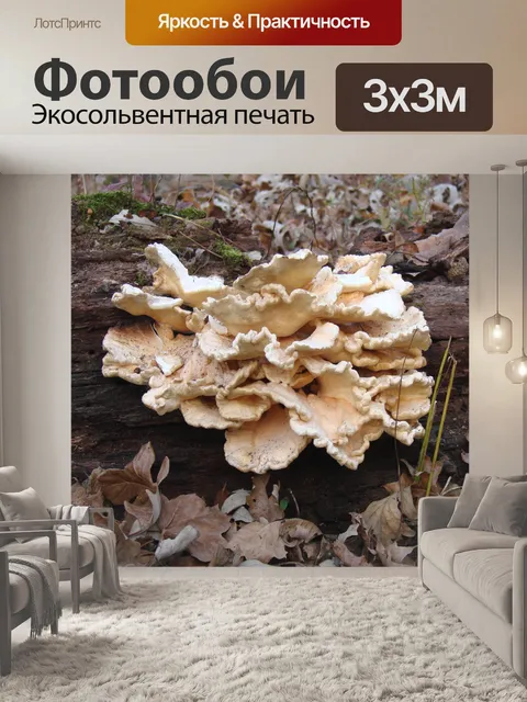 Фотообои Грибы среди нас
