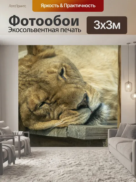 Фотообои Спящий лев
