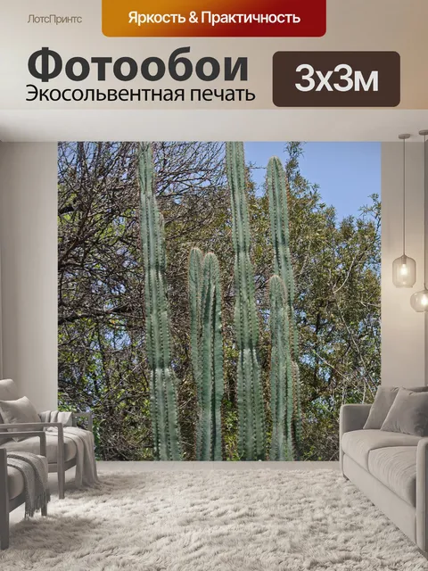 Фотообои высокий кактус на фоне голубого неба
