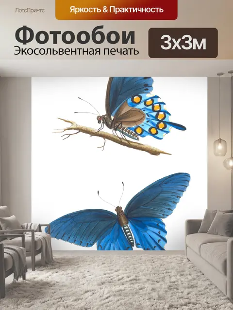 Фотообои бабочка синий винтажное искусство