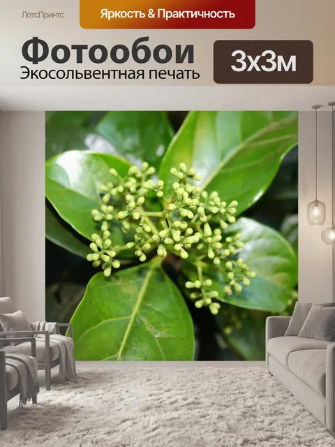 Фотообои дерево бутоны