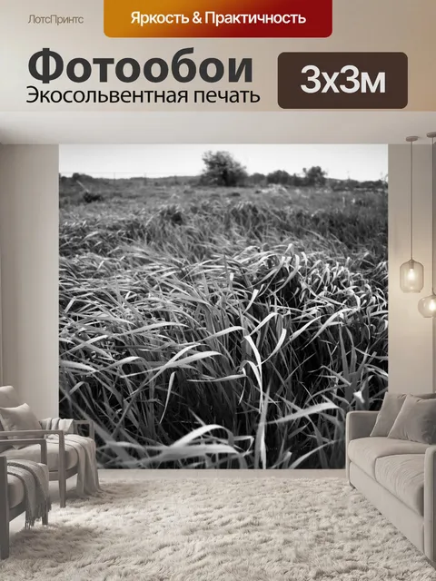 Фотообои Бурные поле черно-белый