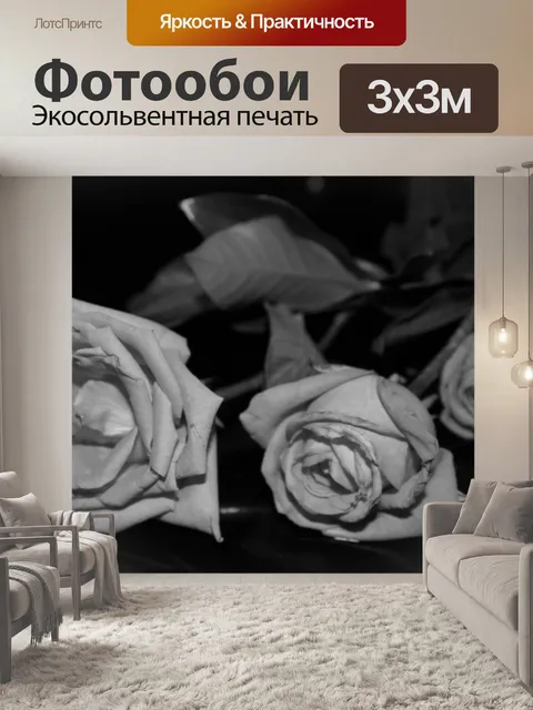 Фотообои черные и белые розы