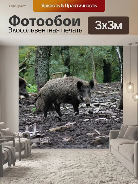 Фотообои Дикий кабан