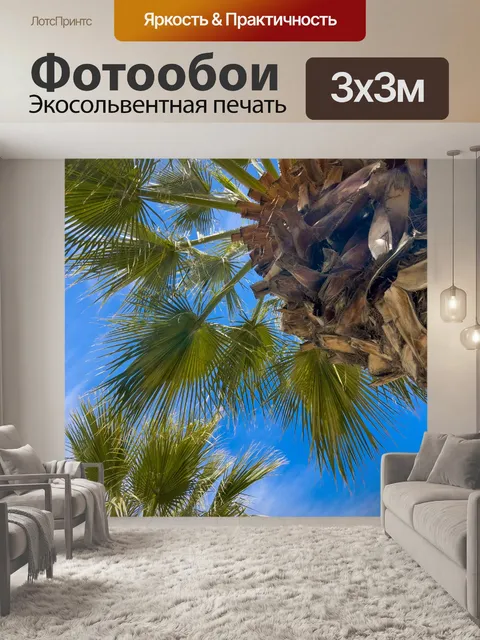 Фотообои Пальмы против неба