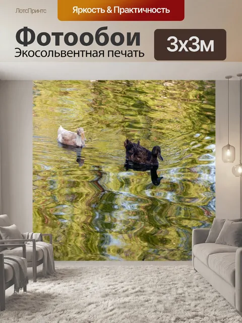 Фотообои Плавающие утки