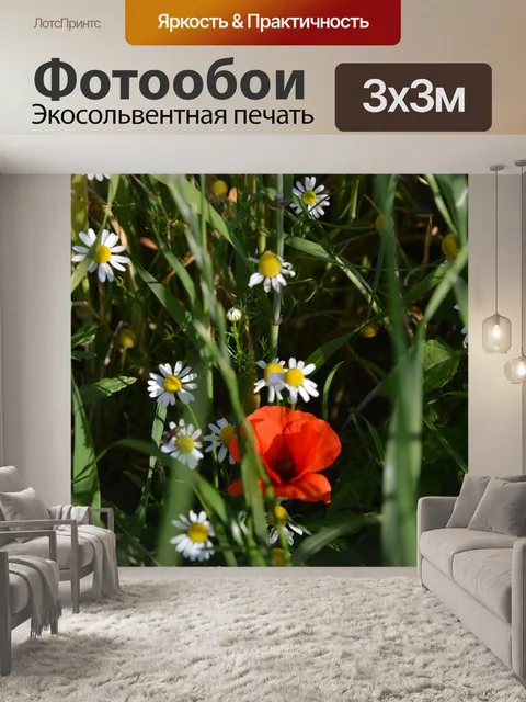 Фотообои Луговые цветы