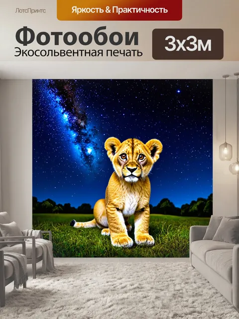 Фотообои львенок, наблюдающий за звездами на ночном небе