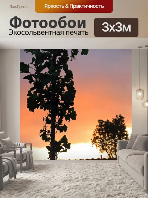 Фотообои дерево гинкго билоба на фоне заката