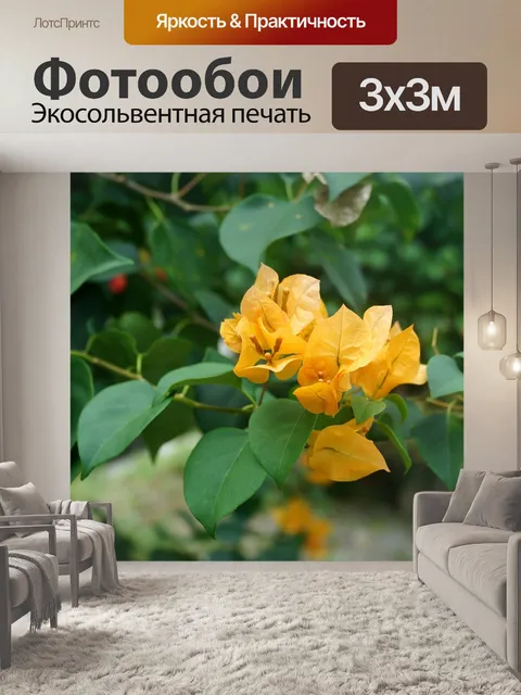 Фотообои Желтый бугенвиль