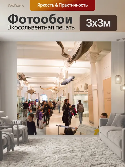 Фотообои Американский музей естественной истории