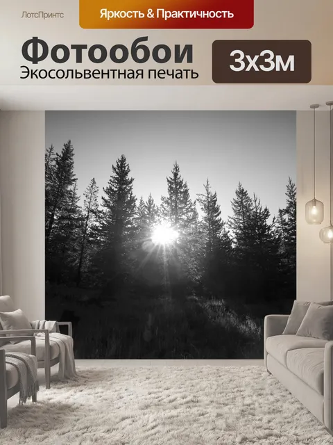 Фотообои Вс За соснах