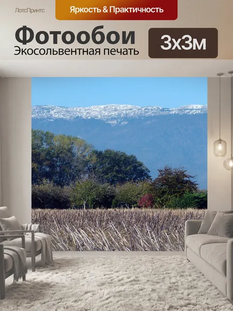 Фотообои Франция