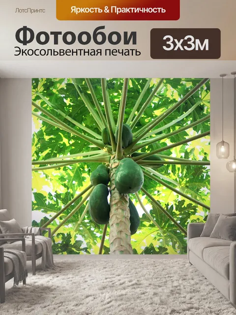 Фотообои Папайя