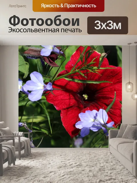 Фотообои Красный цветок Анютины глазки