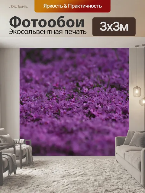 Фотообои Фиолетовый