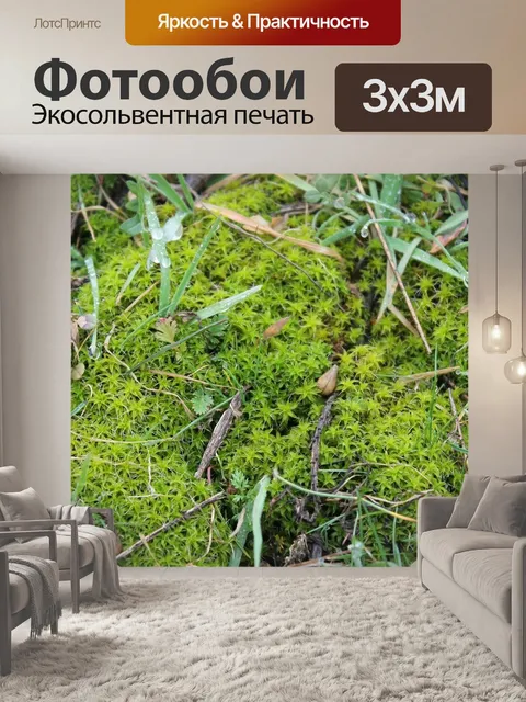 Фотообои Мосс