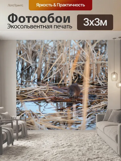 Фотообои Мускарат в болоте