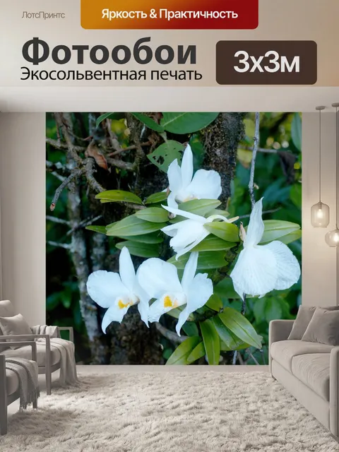 Фотообои Цветник на горе Дои Интанон