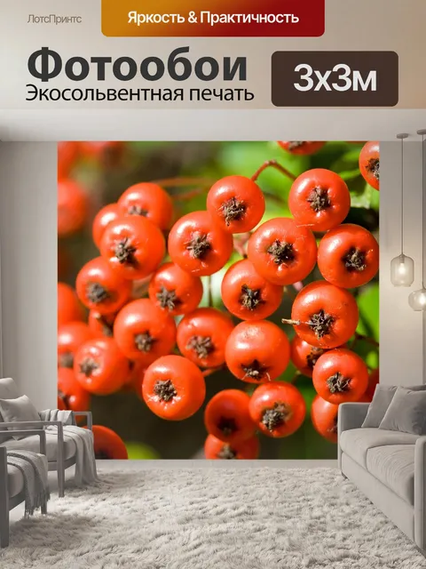 Фотообои Ягода