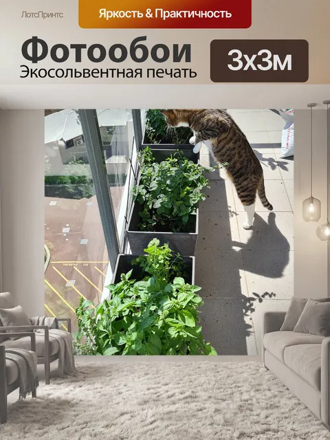 Фотообои Китти нюхает тимьян