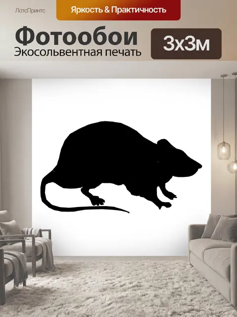 Фотообои Силуэт крысы