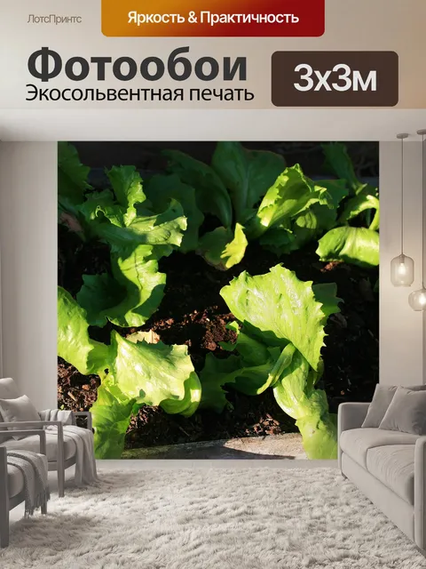 Фотообои салат в контейнере