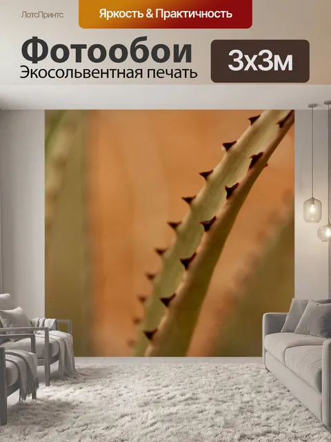 Фотообои Алоэ Вера