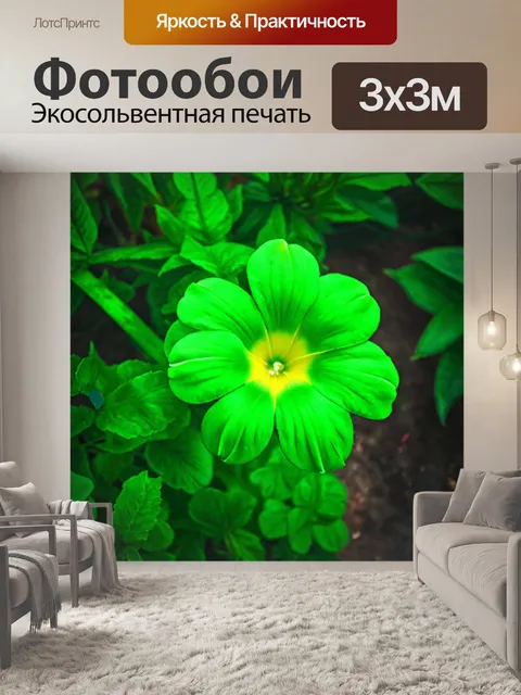 Фотообои зеленые в стиле полароидная фотография