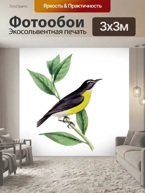 Фотообои Птица Акварельная живопись