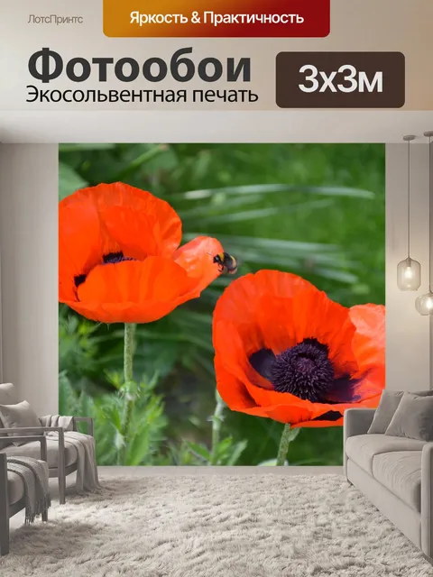 Фотообои Маки
